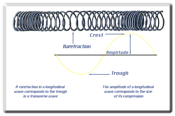 [Comparing Longitudinal and Transverse Waves Graphic]