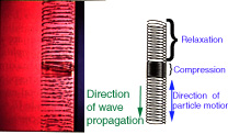 [Image of A Longitudinal Wave Graphic]