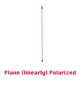 [Image of a Plane Polarized Wave Graphic]